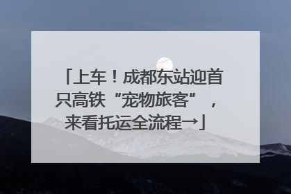 上车！成都东站迎首只高铁“宠物旅客”，来看托运全流程→