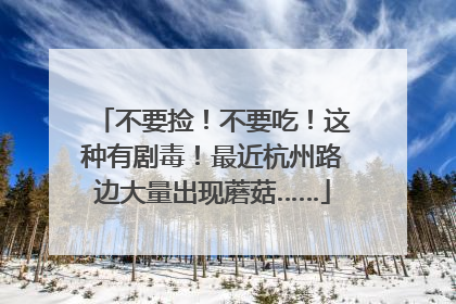 不要捡！不要吃！这种有剧毒！最近杭州路边大量出现蘑菇……