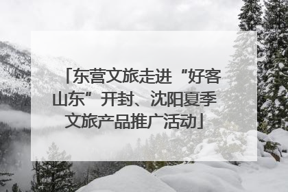 东营文旅走进“好客山东”开封、沈阳夏季文旅产品推广活动
