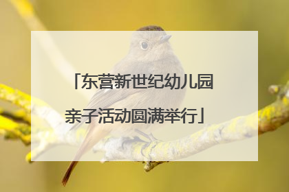 东营新世纪幼儿园亲子活动圆满举行