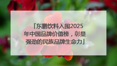 东鹏饮料入围2025年中国品牌价值榜，彰显强劲的民族品牌生命力