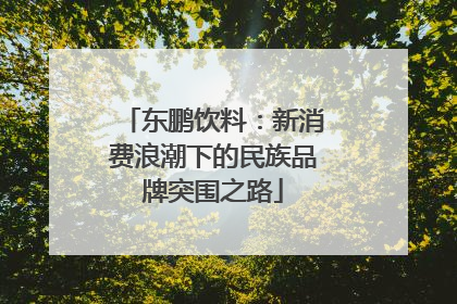 东鹏饮料：新消费浪潮下的民族品牌突围之路