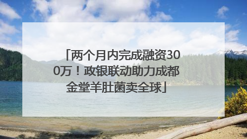 两个月内完成融资300万！政银联动助力成都金堂羊肚菌卖全球