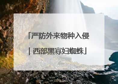 严防外来物种入侵｜西部黑寡妇蜘蛛
