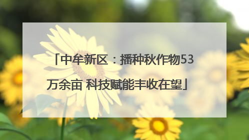 中牟新区：播种秋作物53万余亩 科技赋能丰收在望