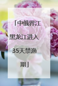 中俄界江黑龙江进入35天禁渔期