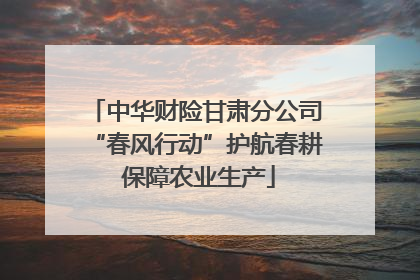 中华财险甘肃分公司“春风行动”护航春耕 保障农业生产