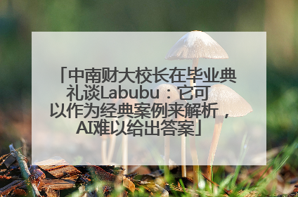 中南财大校长在毕业典礼谈Labubu:它可以作为经典案例来解析,AI难以给出答案