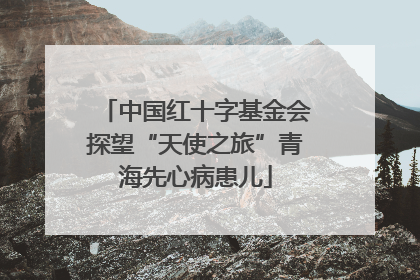 中国红十字基金会探望“天使之旅”青海先心病患儿