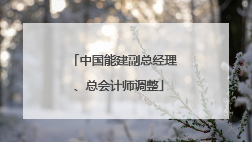 中国能建副总经理、总会计师调整