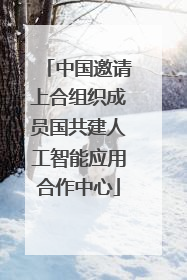 中国邀请上合组织成员国共建人工智能应用合作中心