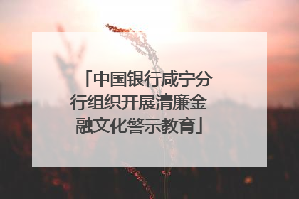 中国银行咸宁分行组织开展清廉金融文化警示教育