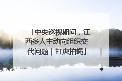中央巡视期间，江西多人主动向组织交代问题｜打虎拍蝇