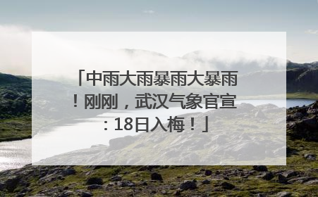 中雨大雨暴雨大暴雨！刚刚，武汉气象官宣：18日入梅！