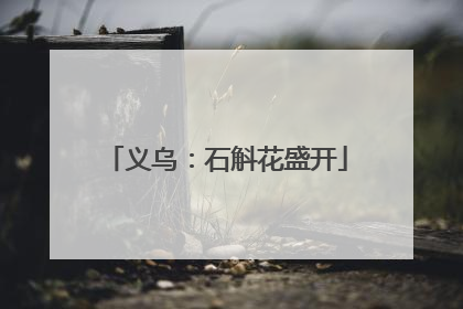 义乌：石斛花盛开