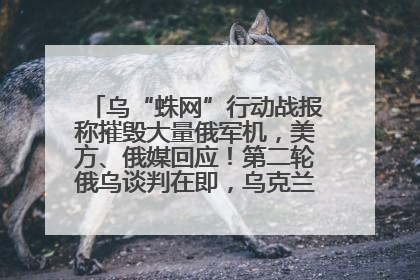 乌“蛛网”行动战报称摧毁大量俄军机，美方、俄媒回应！第二轮俄乌谈判在即，乌克兰提出三大诉求