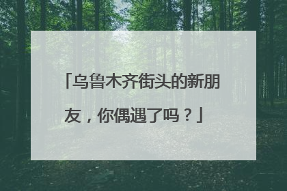 乌鲁木齐街头的新朋友，你偶遇了吗？