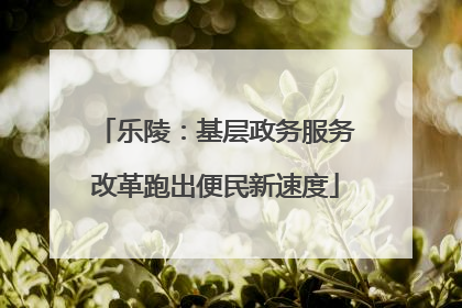 乐陵：基层政务服务改革跑出便民新速度