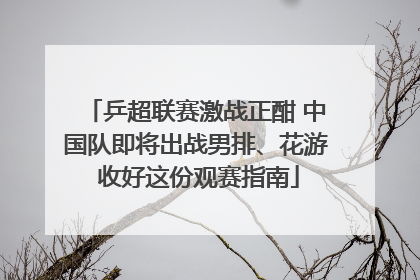 乒超联赛激战正酣 中国队即将出战男排、花游 收好这份观赛指南