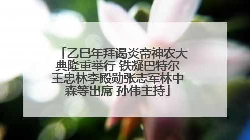 乙巳年拜谒炎帝神农大典隆重举行 铁凝巴特尔王忠林李殿勋张志军林中森等出席 孙伟主持
