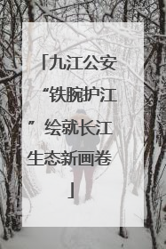 九江公安“铁腕护江”绘就长江生态新画卷