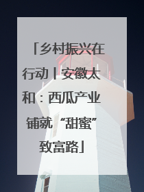 乡村振兴在行动丨安徽太和：西瓜产业铺就“甜蜜”致富路
