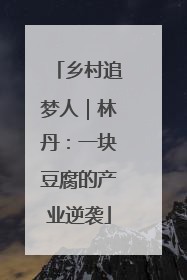 乡村追梦人｜林丹：一块豆腐的产业逆袭