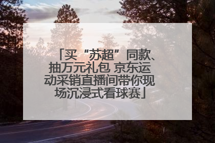 买“苏超”同款、抽万元礼包 京东运动采销直播间带你现场沉浸式看球赛