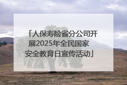 人保寿险省分公司开展2025年全民国家安全教育日宣传活动