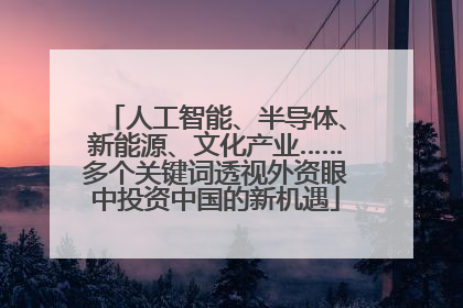 人工智能、半导体、新能源、文化产业……多个关键词透视外资眼中投资中国的新机遇