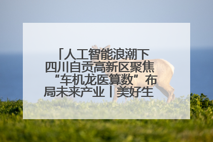 人工智能浪潮下 四川自贡高新区聚焦“车机龙医算数”布局未来产业丨美好生活有“盐”味