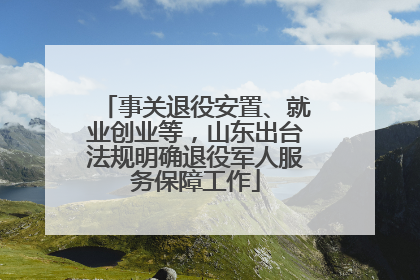 事关退役安置、就业创业等，山东出台法规明确退役军人服务保障工作