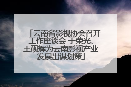 云南省影视协会召开工作座谈会 于荣光、王砚辉为云南影视产业发展出谋划策