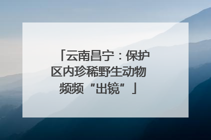 云南昌宁：保护区内珍稀野生动物频频“出镜”