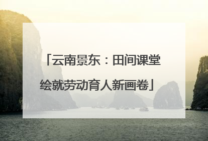 云南景东：田间课堂绘就劳动育人新画卷