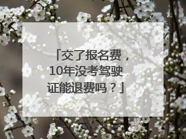 交了报名费，10年没考驾驶证能退费吗？