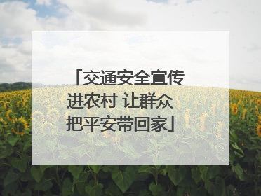 交通安全宣传进农村 让群众把平安带回家