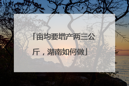 亩均要增产两三公斤，湖南如何做