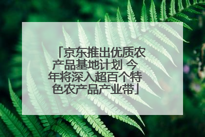 京东推出优质农产品基地计划 今年将深入超百个特色农产品产业带