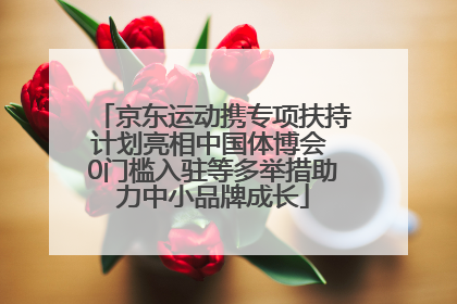 京东运动携专项扶持计划亮相中国体博会 0门槛入驻等多举措助力中小品牌成长