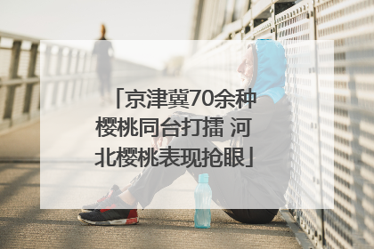 京津冀70余种樱桃同台打擂 河北樱桃表现抢眼