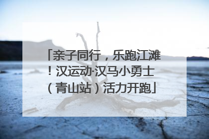 亲子同行，乐跑江滩！汉运动·汉马小勇士（青山站）活力开跑