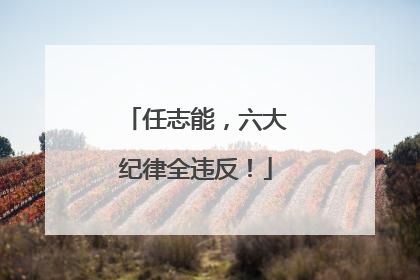 任志能，六大纪律全违反！