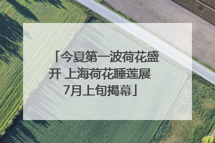 今夏第一波荷花盛开 上海荷花睡莲展7月上旬揭幕