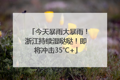 今天暴雨大暴雨！浙江持续湿哒哒！即将冲击35℃+