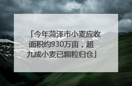 今年菏泽市小麦应收面积约930万亩，超九成小麦已颗粒归仓