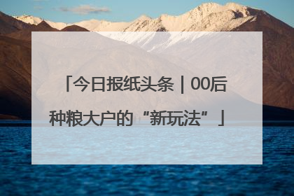 今日报纸头条｜00后种粮大户的“新玩法”