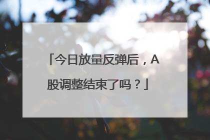 今日放量反弹后，A股调整结束了吗？