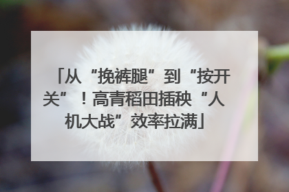 从“挽裤腿”到“按开关”！高青稻田插秧“人机大战”效率拉满
