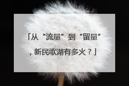 从“流量”到“留量”，新民歌湖有多火？